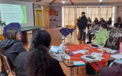 Vicarías zonales del Arzobispado de Santiago capacitan a formadores en ambientes sanos