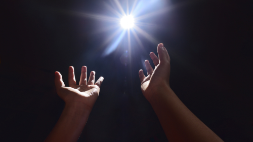 Encontrando luz en la oscuridad: un llamado a la vida