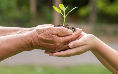 Conversatorio sobre Ecología Integral invita a reflexionar por la Casa Común
